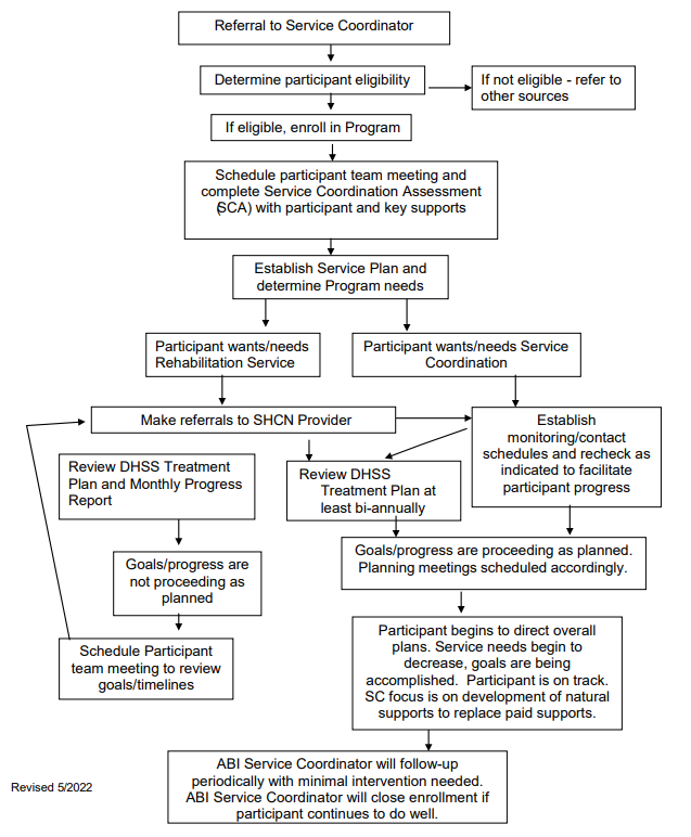 Adult Brain Injury Program Flow Chart Infographic
