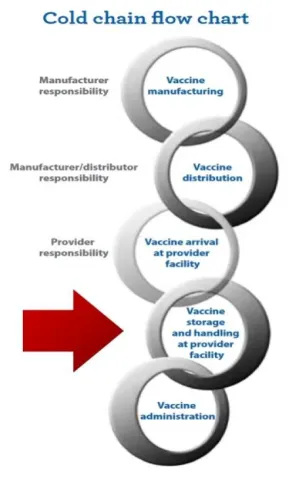 The cold chain flow chart. Vaccine manufacturing is the manufacturer's responsibility. Vaccine distribution is the manufacturer/distributer's responsibility. Vaccine arrival at provider facility is the provider's responsibility. A red arrow points to vaccine storage and handling at provider facility. Vaccine administration is the last link on the cold chain flow chart.