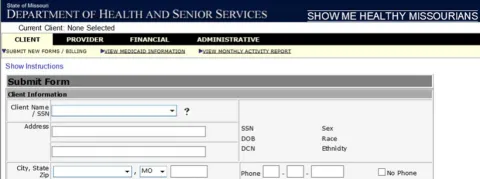 Choose the “Submit New Forms/Billing” tab under the “Client” section