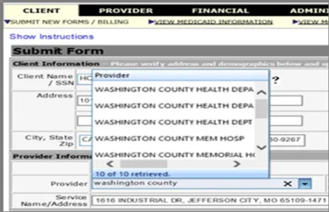 Select the “Client” section and “Submit New Forms/Billing” tab