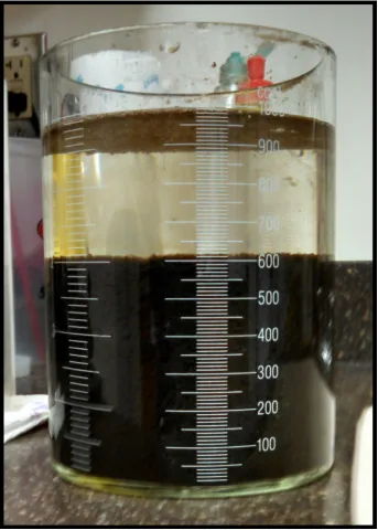 A clear measuring container measuring sludge volume of a mixed liquor sample.