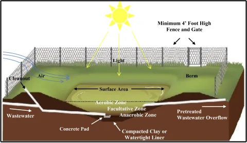 Diagram demonstrating the operation of a lagoon.