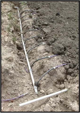 Image of a subsurface drip dispersal.