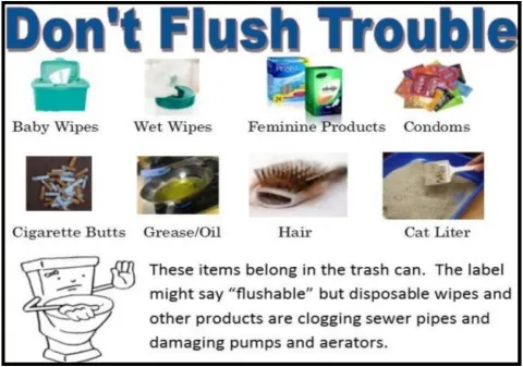 Infographic listing items that should not be flushed.
