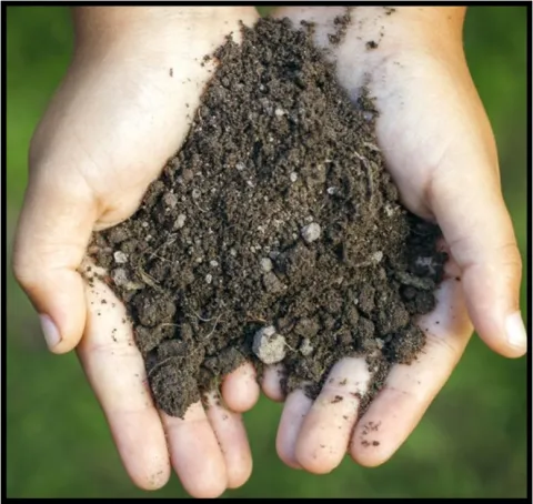 Image of hands holding soil.