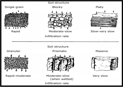 Illustration of different soil structures and infiltration rates.