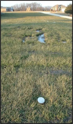 Wastewater surfacing on a lawn
