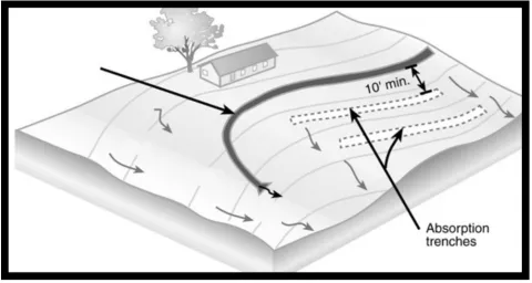 Diagram outlining absorption trenches.