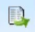 Instant Export Icon