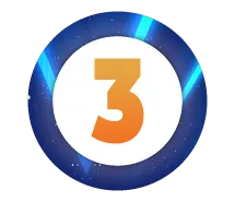 3